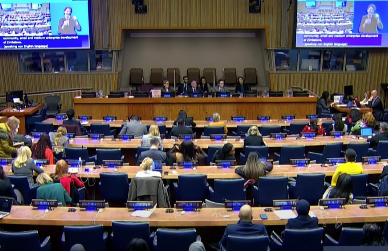 The Secretary-General of the Supreme Council for Women delivers the Kingdom of Bahrain's speech at the 69th session of the Commission on the Status of Women in New York.